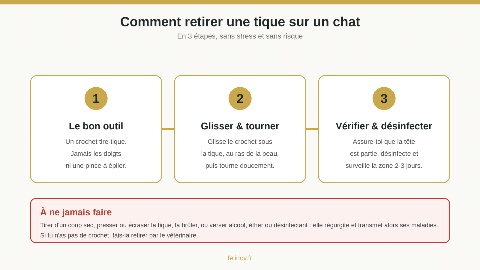 Schéma : retirer une tique sur un chat en 3 étapes (crochet tire-tique, tourner, désinfecter)