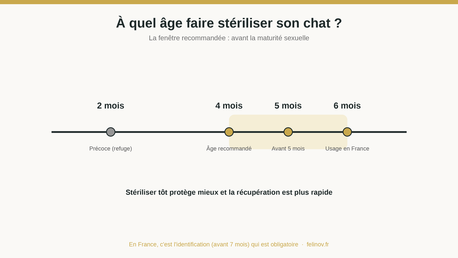 Frise des âges de stérilisation du chat : 2 mois (précoce), 4 mois (recommandé), 5 mois (avant 5 mois), 6 mois (usage en France)